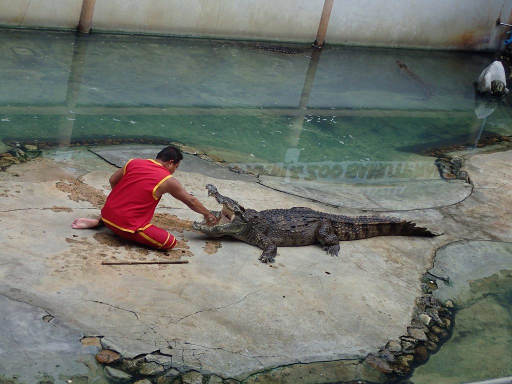 Crocodile Farm